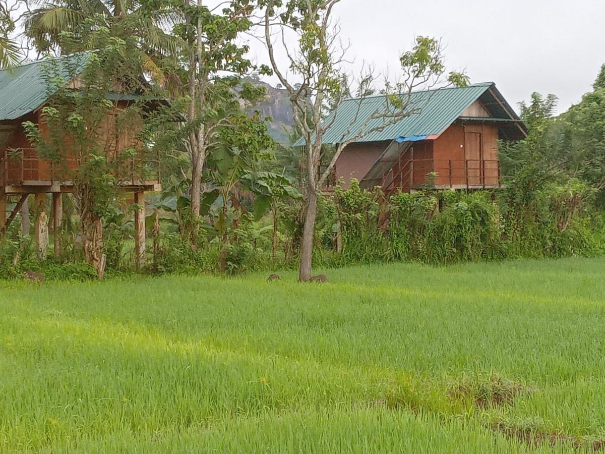 Вілла Sigiriya Paddy Field Hut Екстер'єр фото