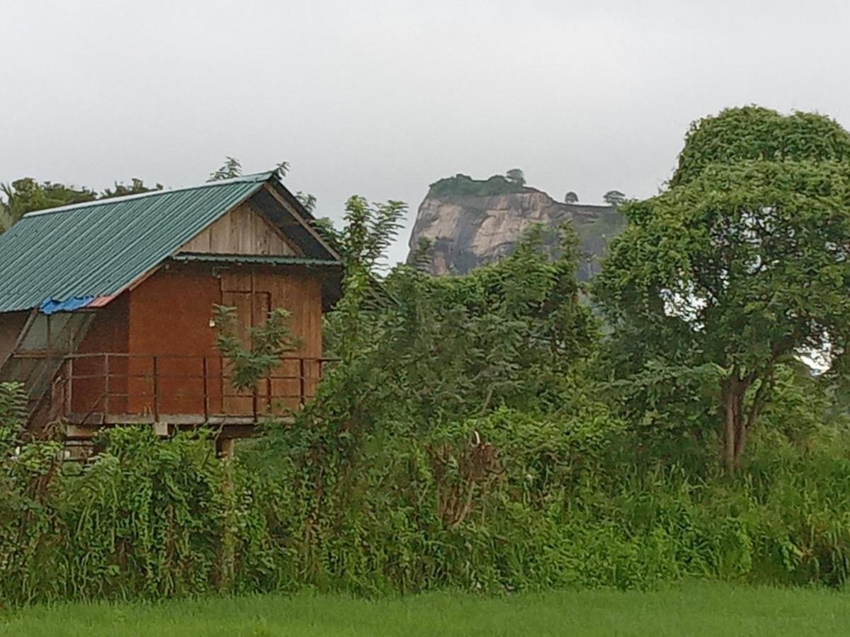 Вілла Sigiriya Paddy Field Hut Екстер'єр фото